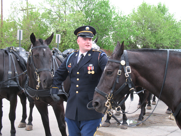 Caisson Horses with Soldier Old Guard