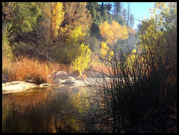 california wilderness horseback