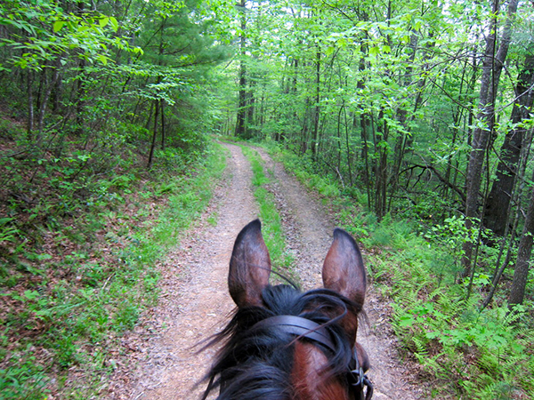 Camp Creek State Park West Virginia horseback riding