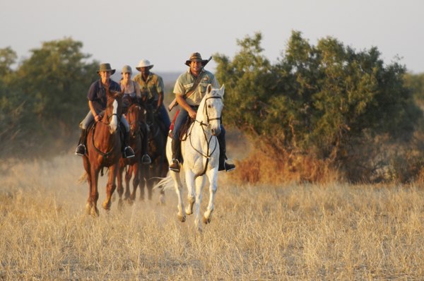 limpopo horse safaris africa