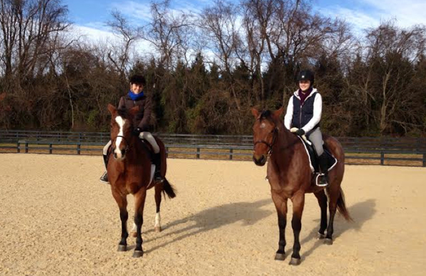 salamander horseback riding adventures