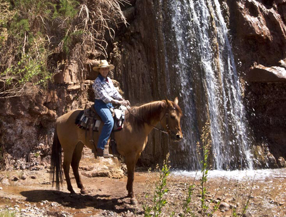 peach waterfall new mexico horseback