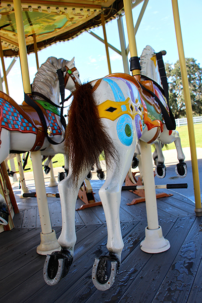 carousel Florida BG Ranch