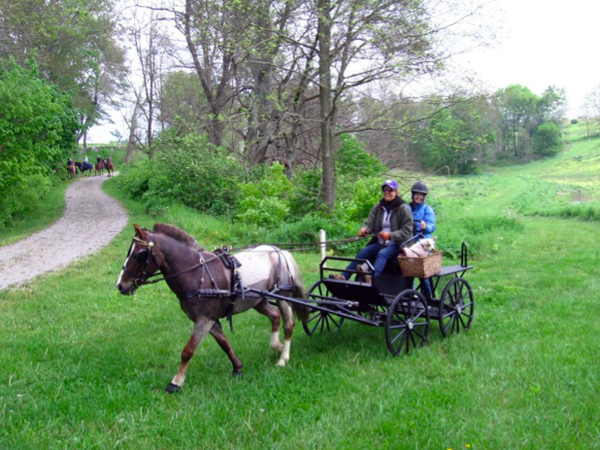 carriage driving kentucky at shaker village