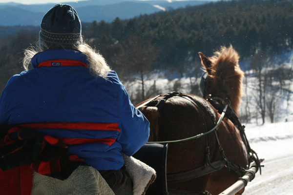 carriage driving vacations
