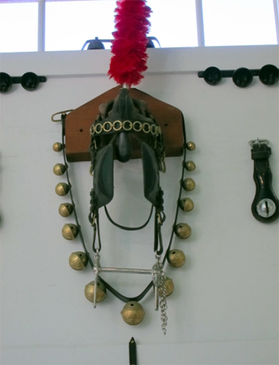 Carriage horse headstall with plummage