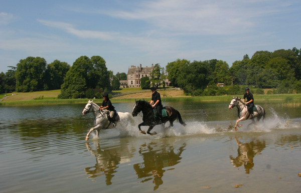 horses galloping through lake castle leslie ireland 