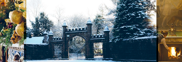 castle leslie ireland snow
