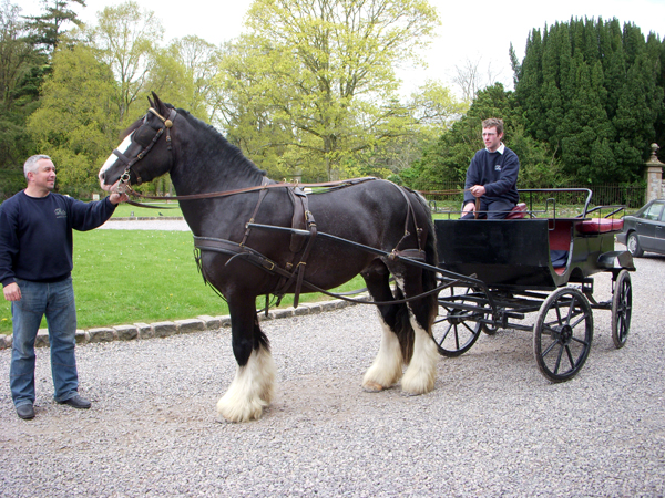 Castle Leslie Carriage Ride