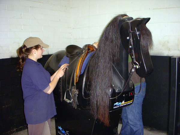 castle leslie mechanical horse