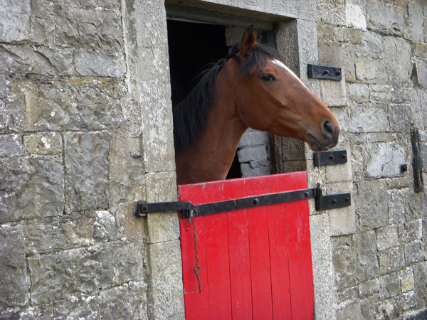 Castle Leslie old stables