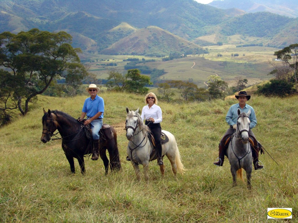 Out on the trail - three Maripa stallions though the hills, mountains and valleys in Minas Gerais.  Photo courtesy of Agro  Maripa.