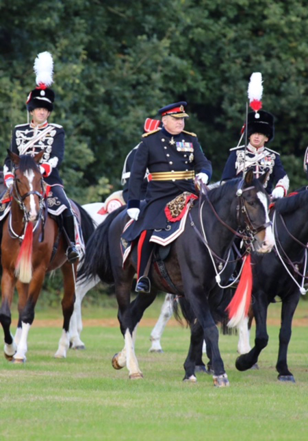 bay horse in cavalry uniform united kingdom