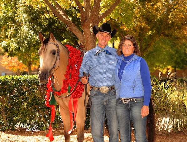 Center Show Ring Horses Texas