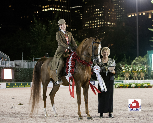 Central Park Horse Show Arabian Horse