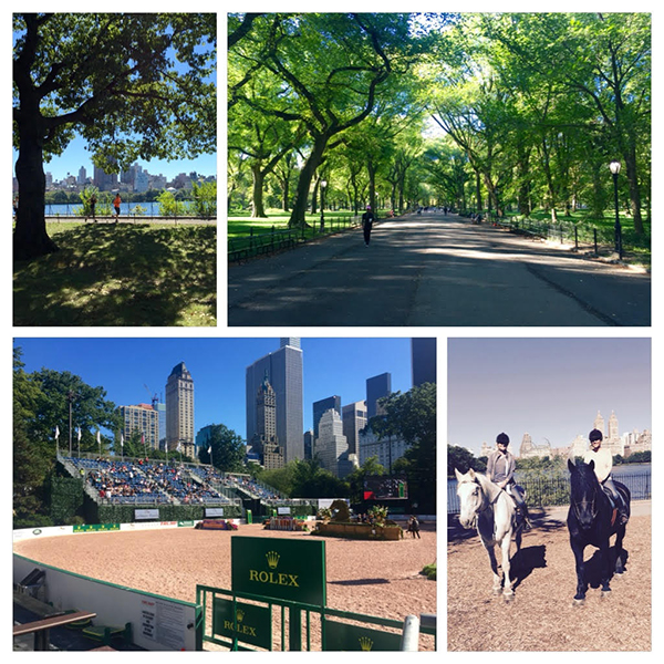 Central Park Horse Show NYC