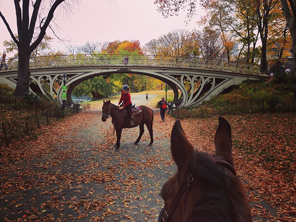 Central Park horseback riding NYC