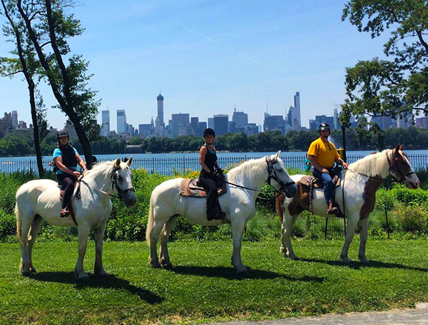 Central Park horseback riding