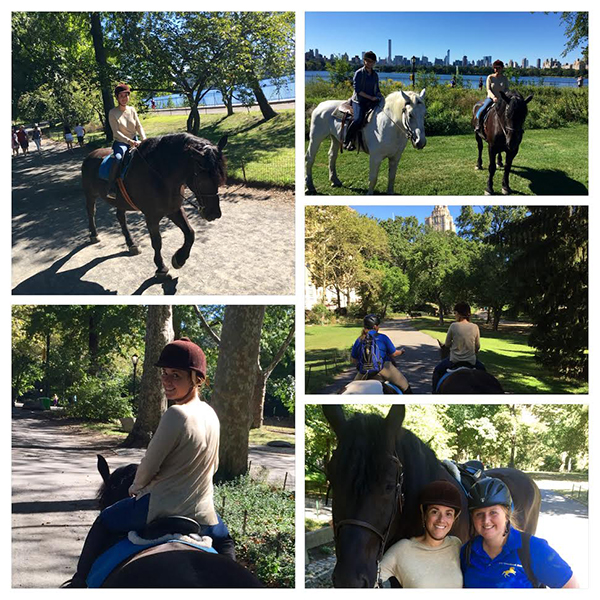 Central Park Horse Show riding