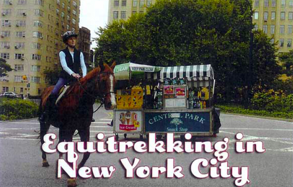 Central Park horse riding