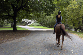 Central Park Horse Riding