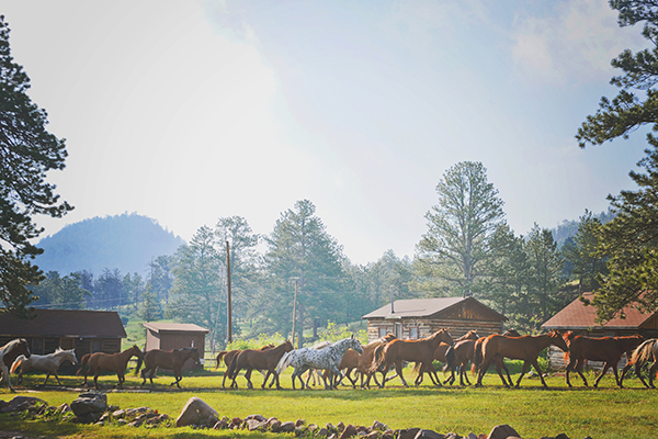 cherokee park ranch colorado