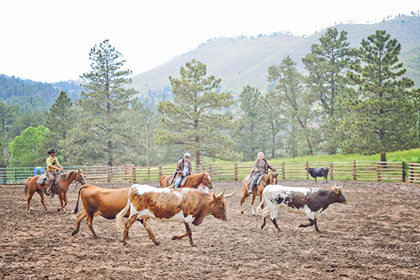 cherokee park ranch colorado