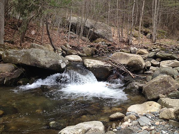 sanderson brook ar chester blandford state forest in massachusetts