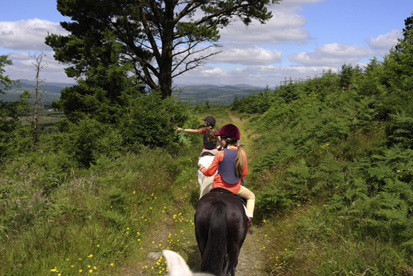Oakwood Stables Childrens riding holidays in Ireland