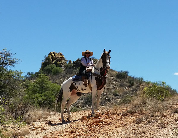 Circle Z Horseback Riding