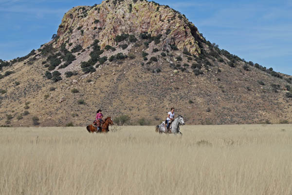 Circle Z Horseback Loping Ride