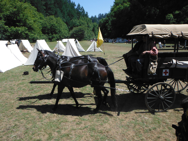 CHAS Civil War Days reenactment horse ambulance