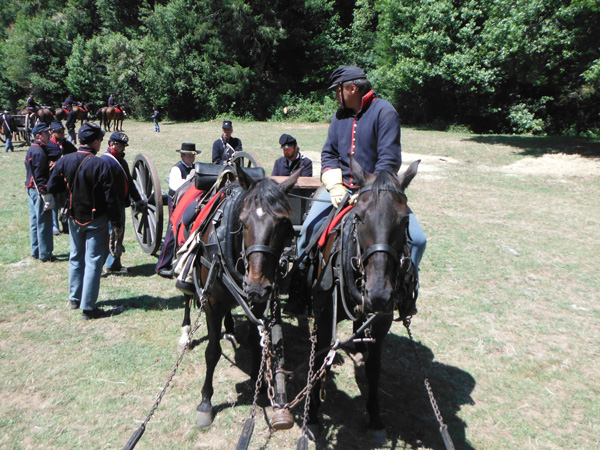 Civil War Days CHAS Standardbreds