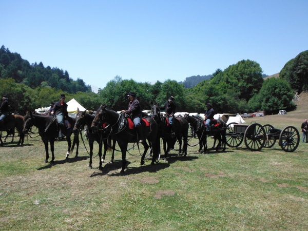 CHAS Civil War Days reenactment artillery horses