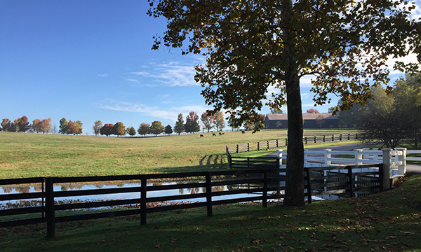 claiborne farm paris kentucky