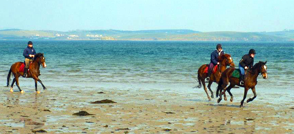 Clew Bay Trail Ride Ireland