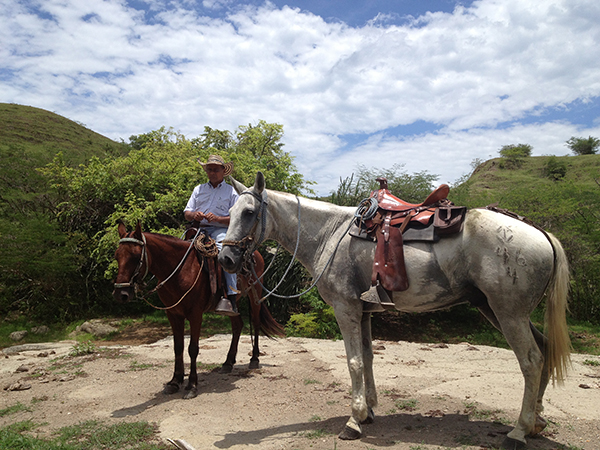 colombia south america cowboy