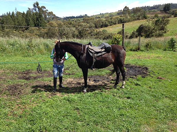 Colombia La Calera horseback riding