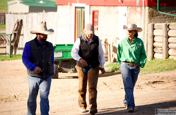 Colorado cattle company wranglers