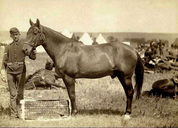 Comanche Survivor of Battle of Little Bighorn