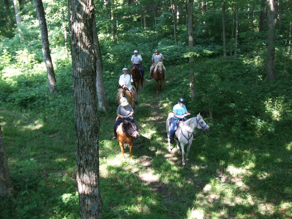 Competitive Mounted Orienteering Horse Riding