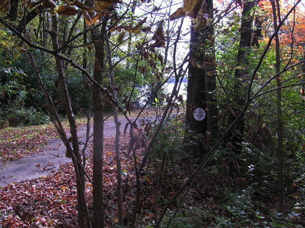 Competitive Mounted Orienteering Objective Stations Markers