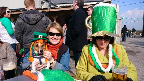 Connemara Equestrian Escapes St. Patrick's Day Dog