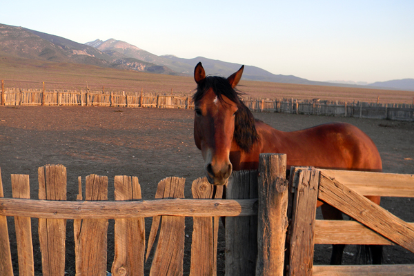 old wooden corral american discovery trail