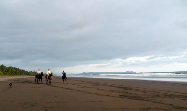 costa rica beach horseback