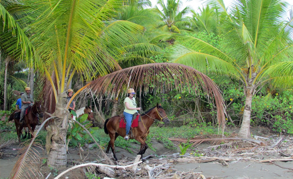 costa rica horse tour