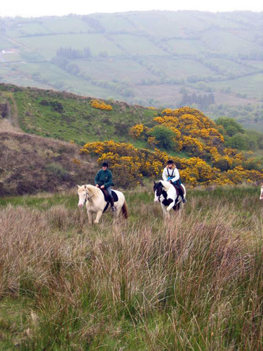 county clare horse riding vacations