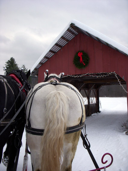 covered bridge vermont horses