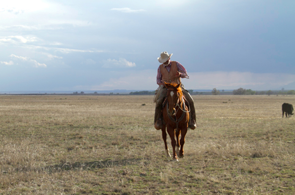 cowboy on the range