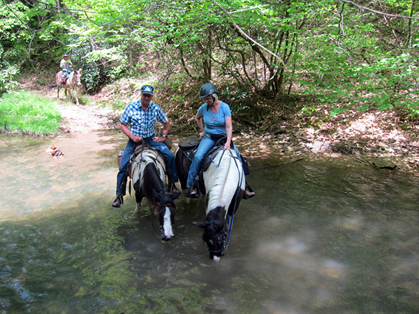 Creek Crossing WV horseback